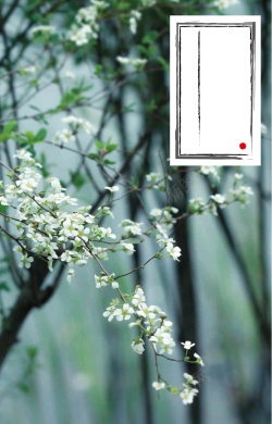 白梨花绿色树枝上的白梨花背景矢量图高清图片