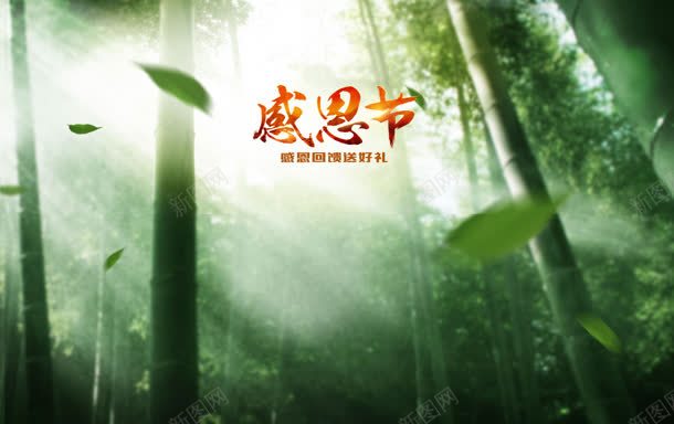 绿色竹林感恩节宽屏jpg设计背景_新图网 https://ixintu.com 感恩 竹林 绿色