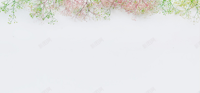 花草背景背景图片免费下载 素材7jmjweeua 新图网 花草背景背景图片免费下载 素材7jmjweeua 新图网