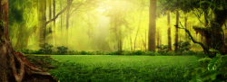 自然场景绿色梦幻森林淘宝背景高清图片