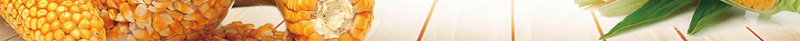 五谷杂粮丰收稻米小麦海报背景psd设计背景_新图网 https://ixintu.com 丰收 五谷杂粮 养生磨坊 包装 包装设计 大米 小米 小麦 有机杂粮 杂粮包装袋 标贴设计 水稻 海报 燕麦 牛皮纸 白面 碗筷子 稷 稻米 粗粮中国风 粮食 素材 细粮 菽 高粱 麦 麦子 黄豆 黍