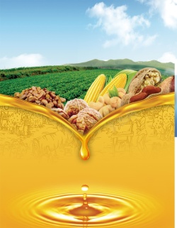 橙色腰果天然玉米油核桃油背景图高清图片