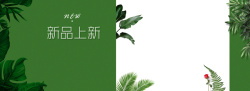绿色清新活动页面新品绿色文艺淘宝电商banner高清图片