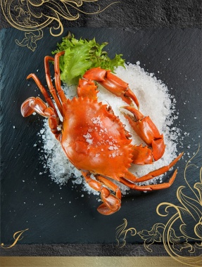 海鲜螃蟹美食cdr海报背景模板背景