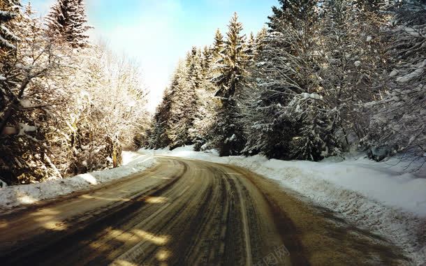 雪后的道路落雪的树jpg设计背景_新图网 https://ixintu.com 落雪 道路 雪后