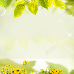 玩具产品春日唯美花朵向日葵背景高清图片