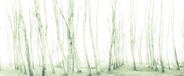 冬季的小树林海报背景背景
