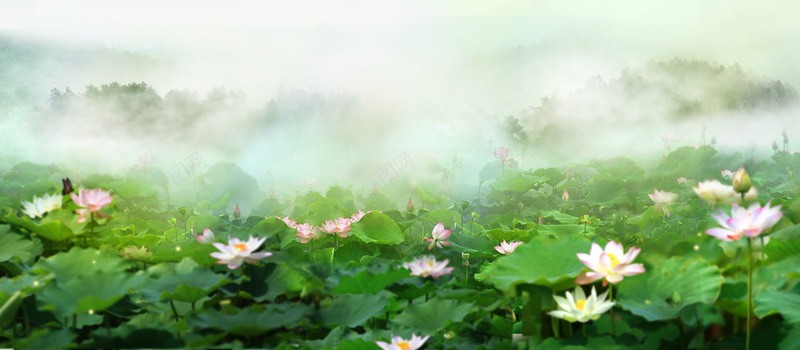 立夏文艺小清新荷花背景jpg设计背景_新图网 https://ixintu.com 初夏 夏天 夏天海报 夏季 小清新 广告 炎热夏天 烟雾缭绕 立夏 素材 背景 荷叶 荷花 设计