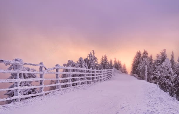 紫色梦幻雪地树林jpg设计背景_新图网 https://ixintu.com 树林 梦幻 紫色 雪地