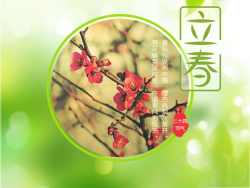 微信轮播立春二十四节气高清图片