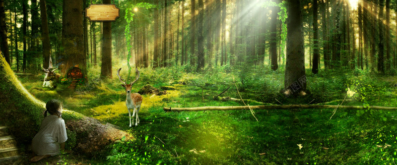 简约北欧家具森林系绿色森林海报背景
