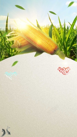 A5产品宣传册玉米农业农产品蔬菜H5背景高清图片