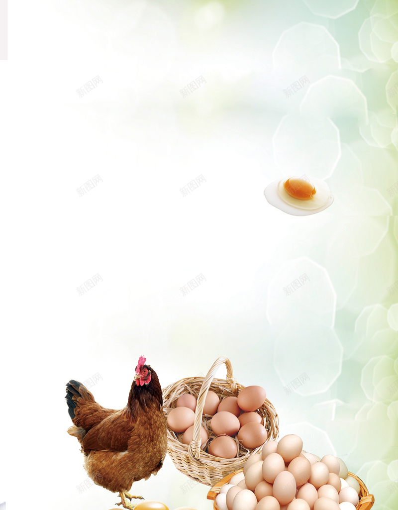 土鸡蛋宣传促销H5背景psd源文件psd设计背景_新图网 https://ixintu.com H5背景 h5 psd下载 健康 养生 土鸡蛋 柴鸡蛋 母鸡 草地 营养 风景 鸡蛋