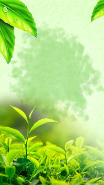 绿色树叶水墨背景背景