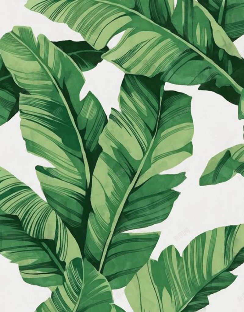 个性植物宣传海报psd设计背景_新图网 https://ixintu.com 个性 创意 手绘 文艺 植物 清新 特色 简约 绿色
