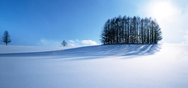 摄影背景jpg_新图网 https://ixintu.com 冰雪 大气 摄影 风景