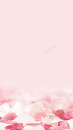 文艺复古美女H5素材粉色浪漫花瓣化妆品H5背景高清图片