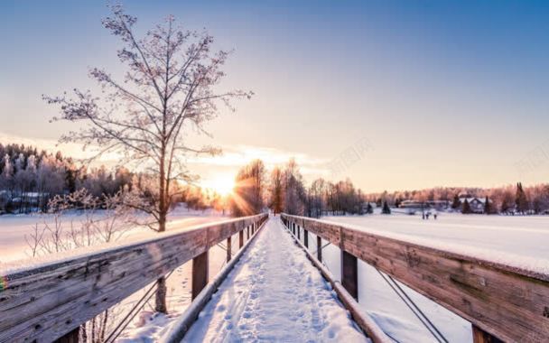 冬日小路树木雪花背景