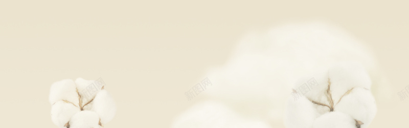 棉花背景背景
