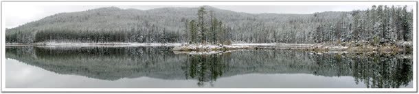 冬季的松树林湖面jpg设计背景_新图网 https://ixintu.com 冬季 松树 湖面