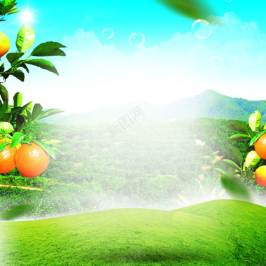 草地风景水果橙子PSD分层主图背景背景