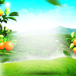 橘子果酱草地风景水果橙子PSD分层主图背景高清图片