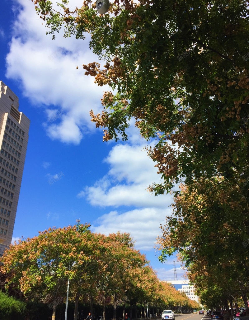 秋天的天空11111jpg设计背景_新图网 https://ixintu.com 云朵 天空 秋天 风景