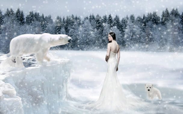 雪地松树林北极熊美女雪夜海报背景背景