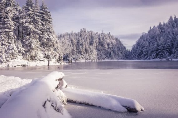 森林冬季湖面雪地背景