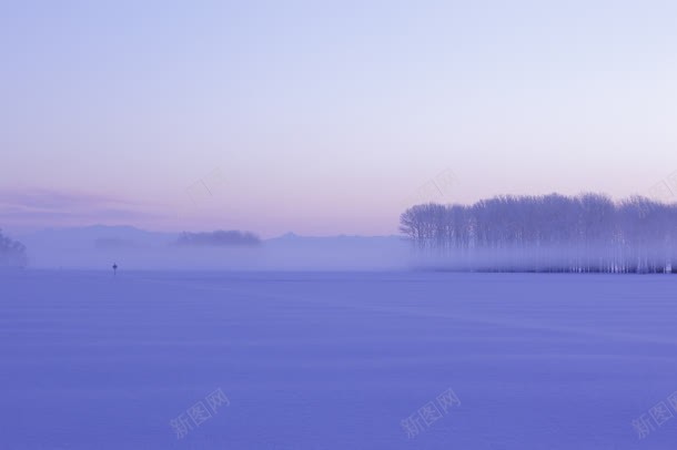 紫色雪地森林海报背景jpg设计背景_新图网 https://ixintu.com 森林 海报 紫色 背景 雪地