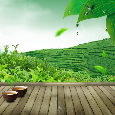 温暖主图背景绿色茶园茶叶PSD分层主图背景摄影图片