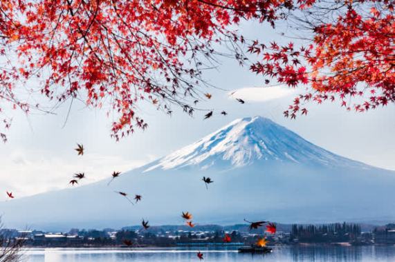 雪山下平静湖面花朵背景