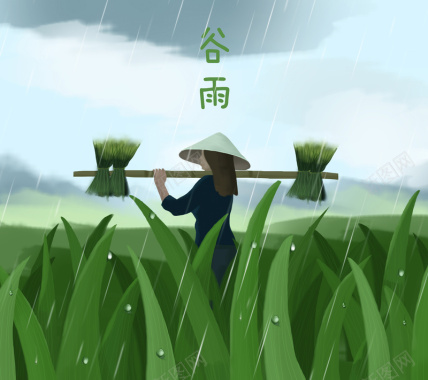 谷雨季节夏天背景