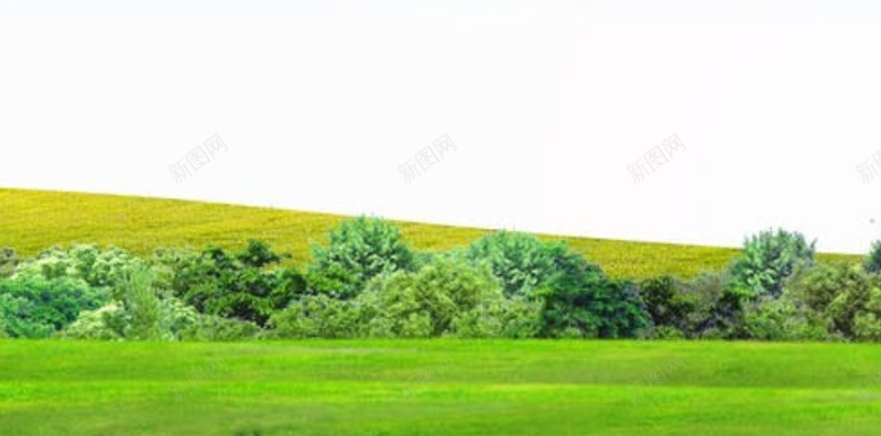 风景蓝色天空绿色树叶草地矢量H5背景cdr_新图网 https://ixintu.com H5 天空 摄影 矢量 绿色 草地背景 风景