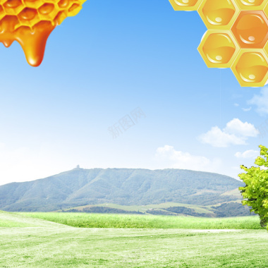 宠物零食促销蓝天草地蜂巢蜂蜜PSD分层主图背景摄影图片