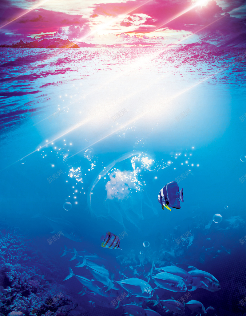 唯美海底世界背景psd设计背景_新图网 https://ixintu.com 唯美 夏季 大海 浪漫 海底 海底世界 海洋 潜水 简约 蓝色 鱼
