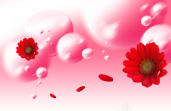 美丽的水纹美丽红花海报背景高清图片