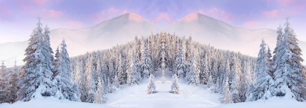 动漫冬季雪景松林背景bannerjpg设计背景_新图网 https://ixintu.com banner 冬季 动漫 松林 绿色针叶林 背景 针叶林 雪景