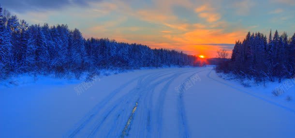 冬天自然风光背景jpg设计背景_新图网 https://ixintu.com 冬天 冬季 夕阳 天空 树林 道路