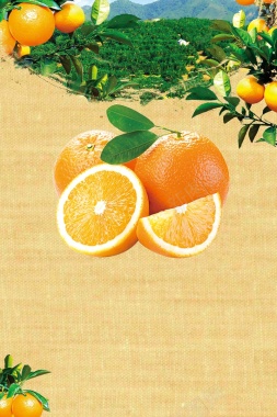 简约赣南脐橙促销宣传背景