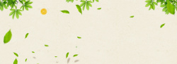 新鲜水果边框绿色纯天然有机水果海报banner背景高清图片