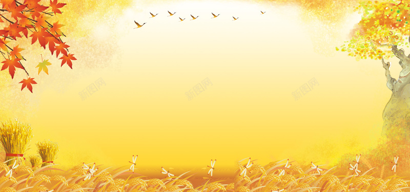 金黄色麦地大尺寸banner背景背景
