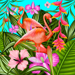 热带植物火烈鸟热带动植物背景矢量图高清图片