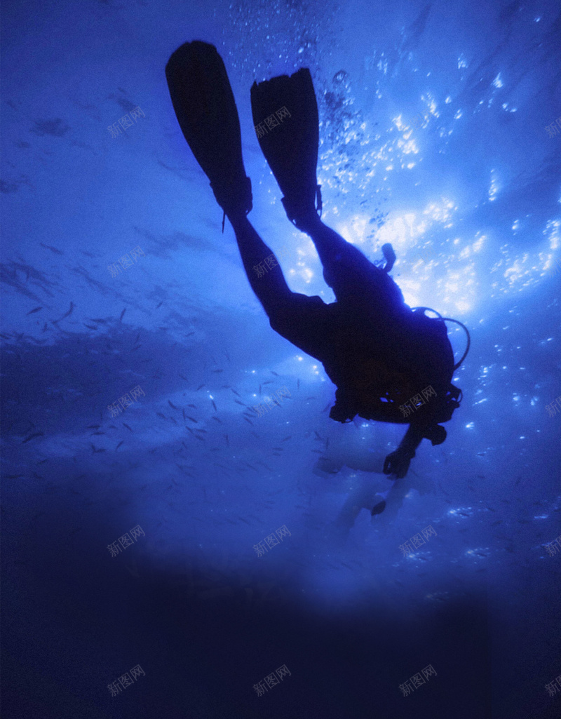 潜水海洋蓝色背景jpg设计背景_新图网 https://ixintu.com 中国风 海底世界 游泳 潜水