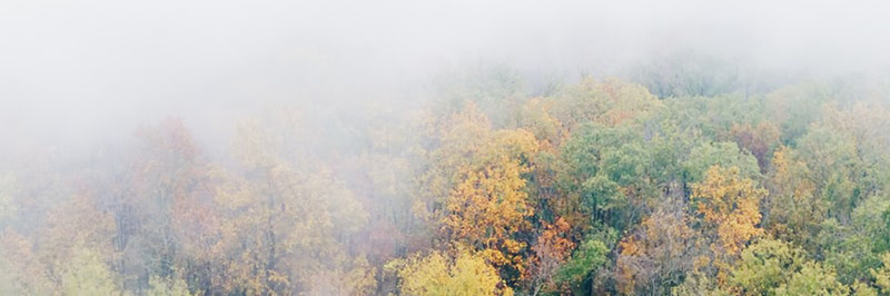 秋季落叶风景摄影40jpg_新图网 https://ixintu.com 摄影 秋季 落叶 风景