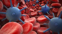 血球病毒与血球高清图片