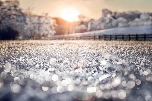 阳光雪景自然美丽jpg设计背景_新图网 https://ixintu.com 美丽 自然 阳光 雪景