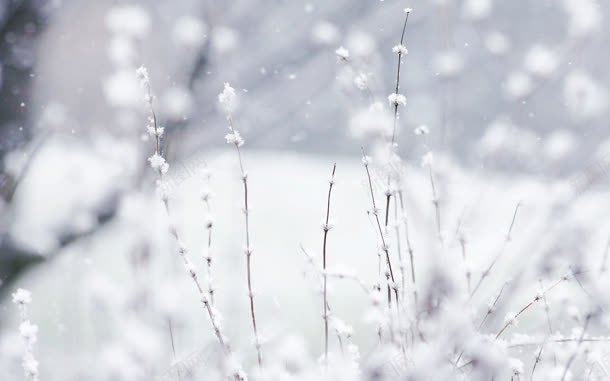 雪后唯美浪漫风景jpg设计背景_新图网 https://ixintu.com 浪漫 雪后 风景