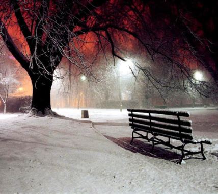 雪地夜晚大树座椅海报背景背景