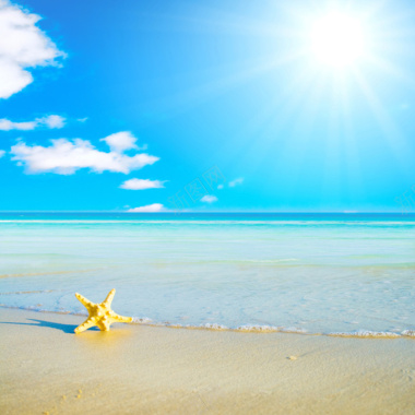 沙滩海星背景图背景
